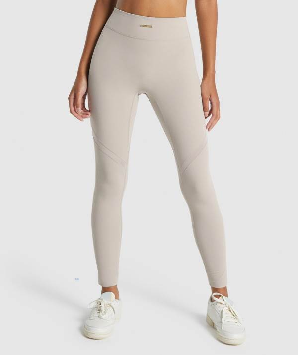Damske Legíny Gymshark Whitney Mesh Siva | AS0621437